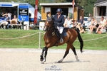 Friday 8th - Western Counties Arena portfolio