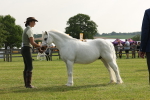 SBM_00568