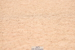230628A-103058-00105