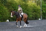 WJ5_8583