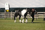 SBM_10321