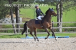 BPP_4026