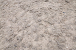 SBM_013001