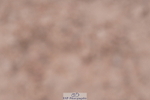 240505A-093536-04265