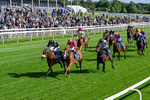 120626-Race 6-Rotokura Belle-0350