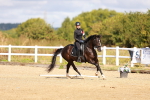SBM_009666