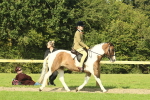 SBM_67438