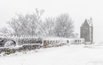 The Pigeon Tower In The Snow