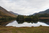 Glen Affric-3