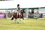 SBM_15472