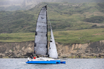 210703 CELASTRINA GBR28105 1Y3A0720