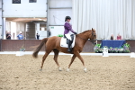 SBM_007496