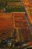 Vines Road V-3858 From a Hot air Balloon.