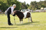 SBM_02009