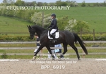BPP_6919