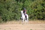 WJ6_7158