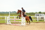 SBM_001775