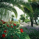Ravello