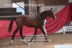 BPP_2257