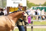 SBM_05561