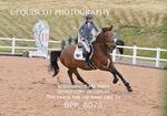 BPP_8073