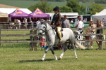 SBM_05353