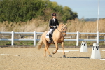 SBM_001886