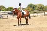 SBM_002982