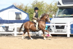 SBM_12288