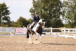 SBM_08041