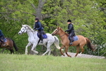 WJ6_1377