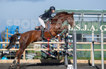 Senior Showjumping_10-11-2019-1