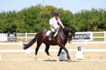 SBM_011647