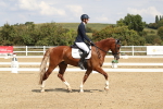 SBM_001447