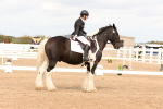 SBM_03854