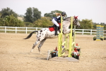 SBM_001963
