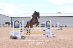 BPP_5872