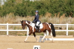 SBM_000381