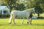 SBM_57296