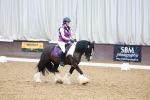 SBM_006179