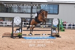 BPP_8955
