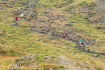 Peris Horseshoe-134