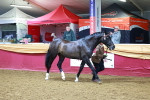 SBM_15989