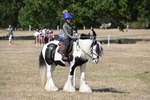 WJ6_9118