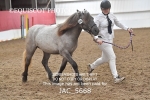 JAC_5668