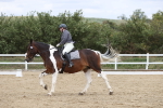 SBM_003015