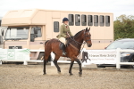 SBM_16856