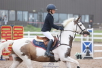 Cls 30 British Novice and 80cm Open portfolio
