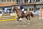 BPP_3666