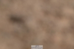 250621-150858-11725